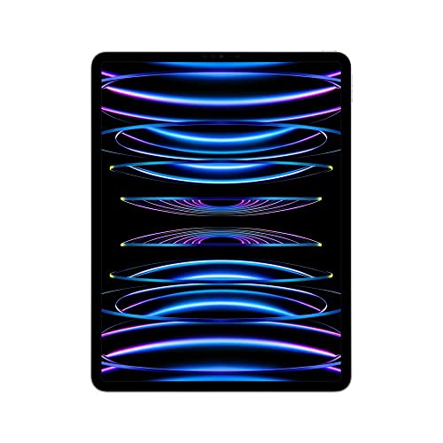 iPad Pro da Apple de 12,9 polegadas (6a geração): Com chip M2, tela Liquid Retina XDR, 2 TB Wi-Fi 6E, câmera frontal de 12 MP, câmeras traseiras de 12 MP e 10 MP, Face ID, Prateado