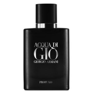 Perfume Masculino Giorgio Armani Acqua Di Gio Profumo Eau de Parfum