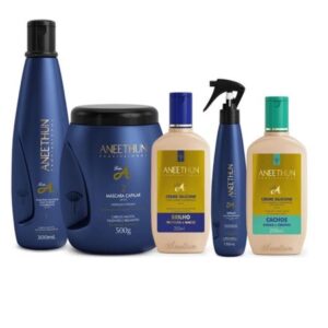 Kit Aneethun Linha A Shampoo 300ml Máscara 500ml Creme Silicone 250ml Spray 150ml Cachos 250ml