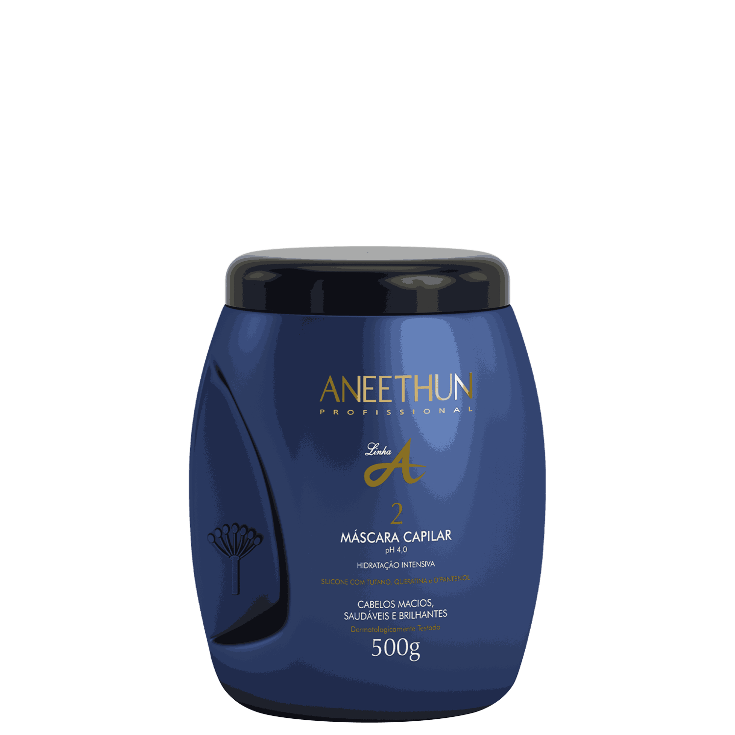 Máscara Capilar Aneethun Linha A 500g