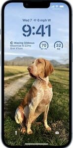 Apple iPhone 14 Apple iPhone 14