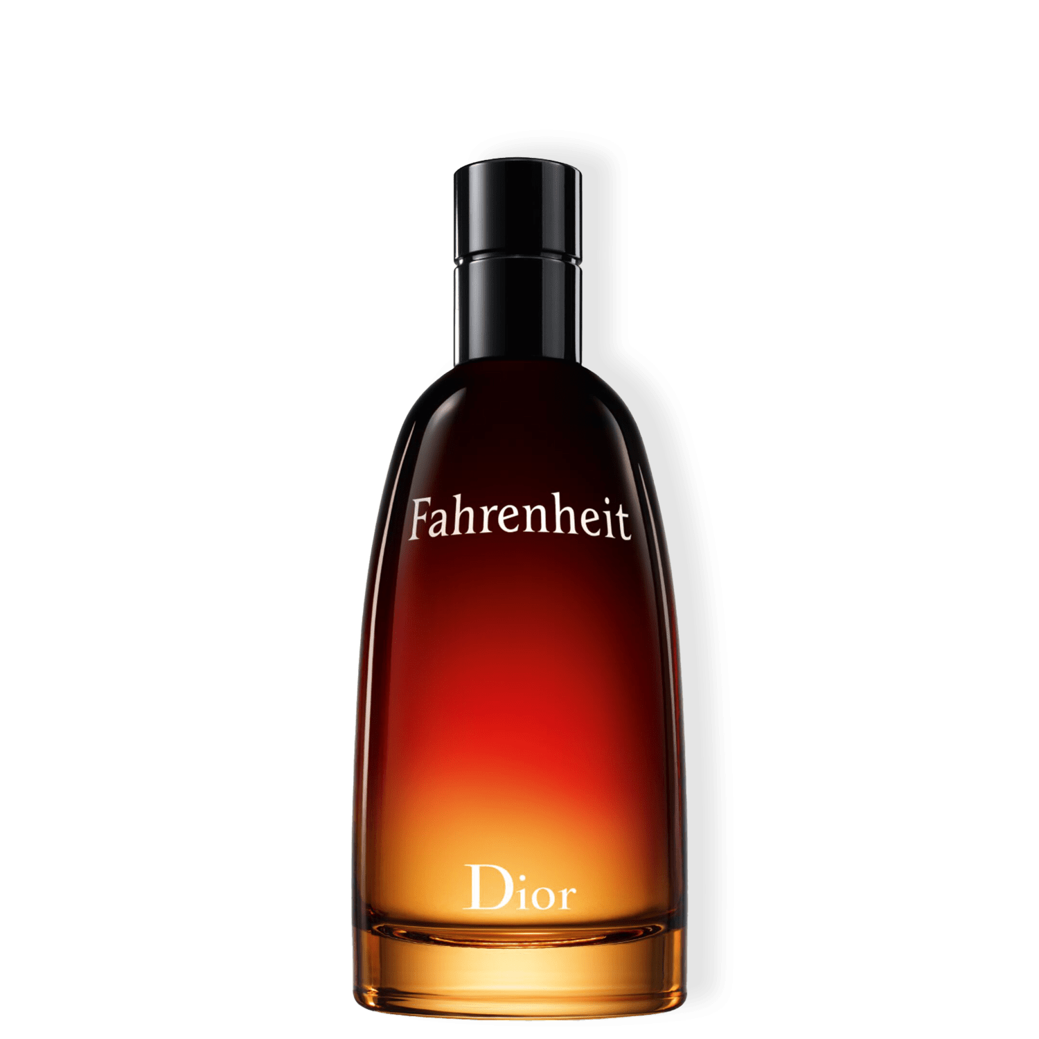 Perfume Masculino Fahrenheit Dior Eau de Toilette 100ml