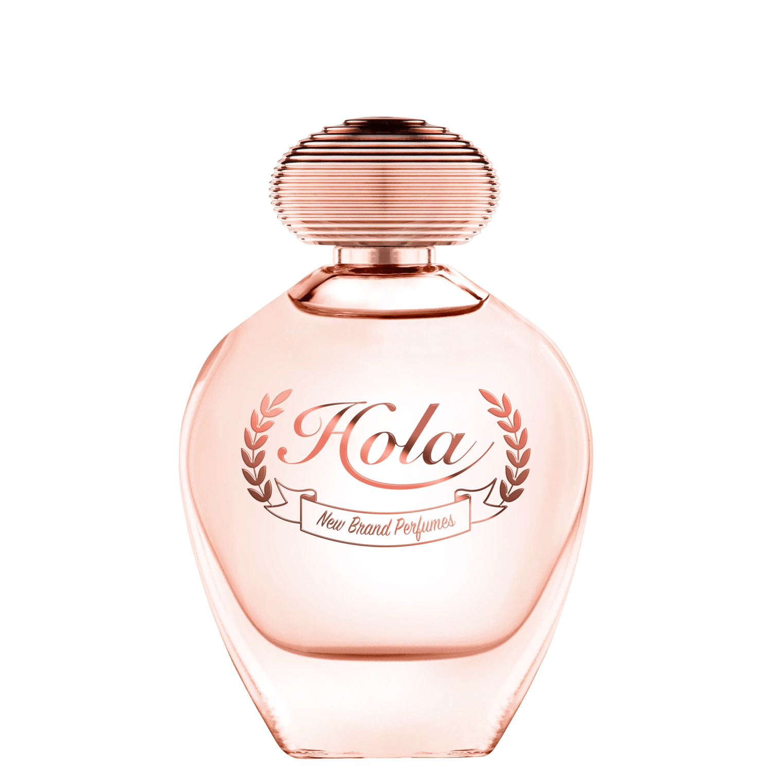 Perfume Feminino New Brand Hola Eau de Parfum