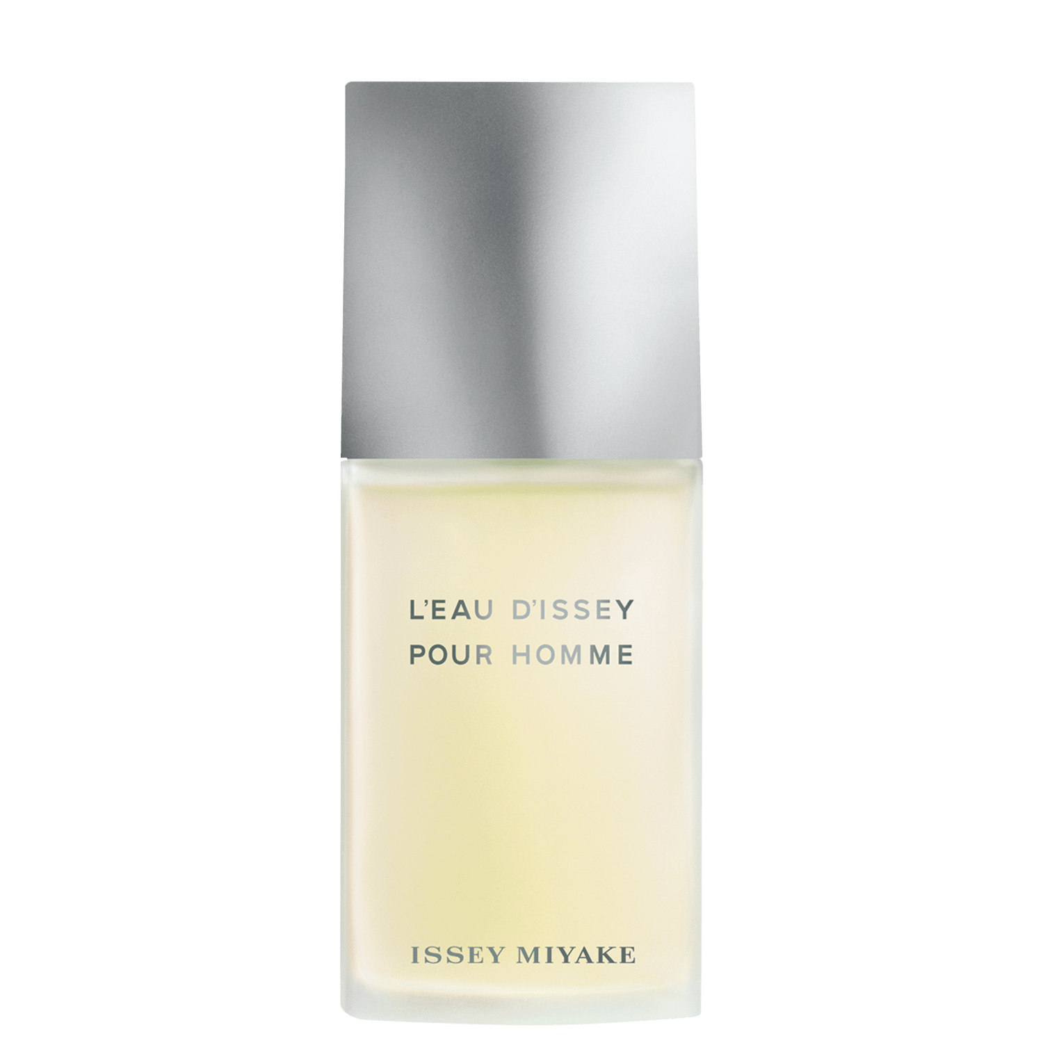 Perfume Masculino L’Eau d’Issey Pour Homme Issey Miyake Eau de Toilette