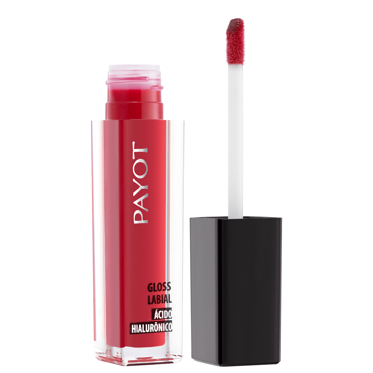 Gloss Labial Payot Ácido Hialurônico Floripa 4,5g