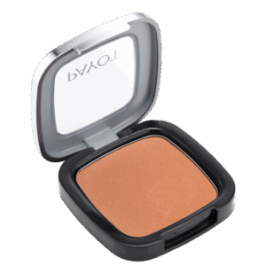 Blush Payot Retinol Terracota 6g