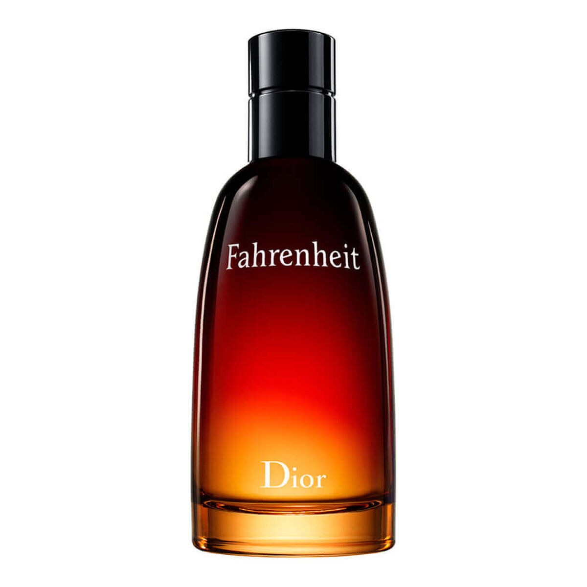 Perfume Masculino Dior Fahrenheit Eau de Toilette