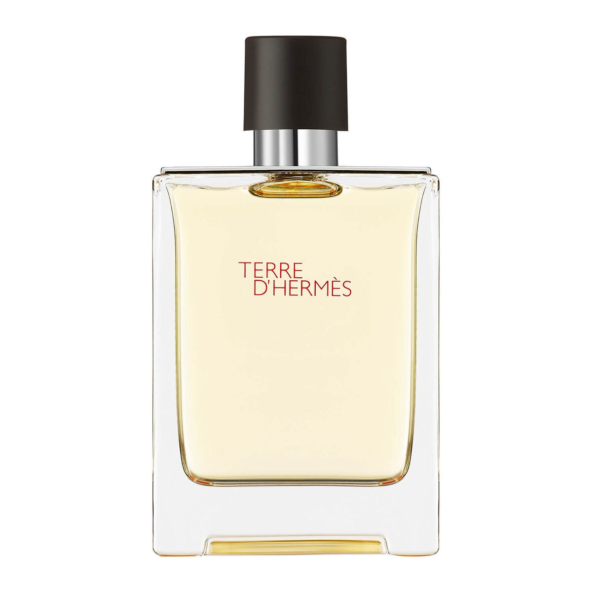 Perfume Masculino Terre D’Hermès Eau de Toilette