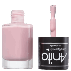 Esmalte Anita Toda Blogueirinha Recebidos 458 10ml