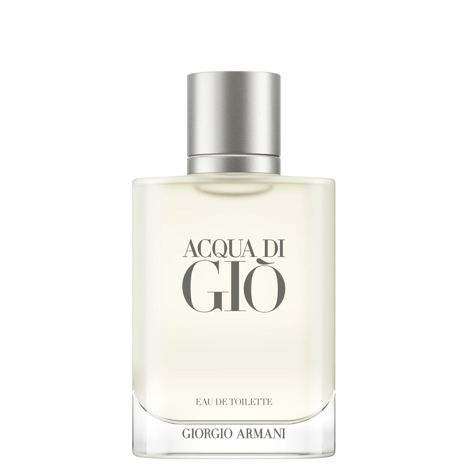 Perfume Masculino Eau de Toilette Giorgio Armani Acqua di Giò Pour Homme 100ml