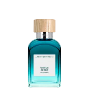 Perfume Masculino Eau de Toilette Adolfo Dominguez Agua Fresca Citrus Cedro 120ml
