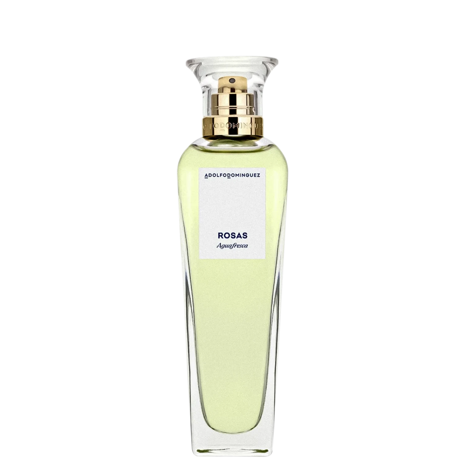 Perfume Feminino Eau de Toilette Adolfo Dominguez Agua Fresca de Rosas 120ml