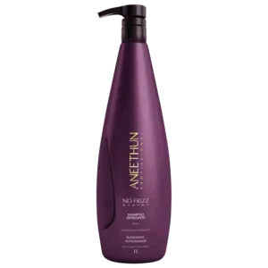 Shampoo Defrizante Aneethun No Frizz System 1L