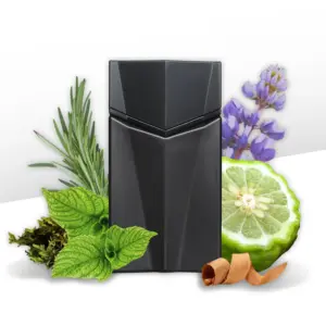 Perfume Masculino Eau de Toilette Animale Seduction Homme 100ml