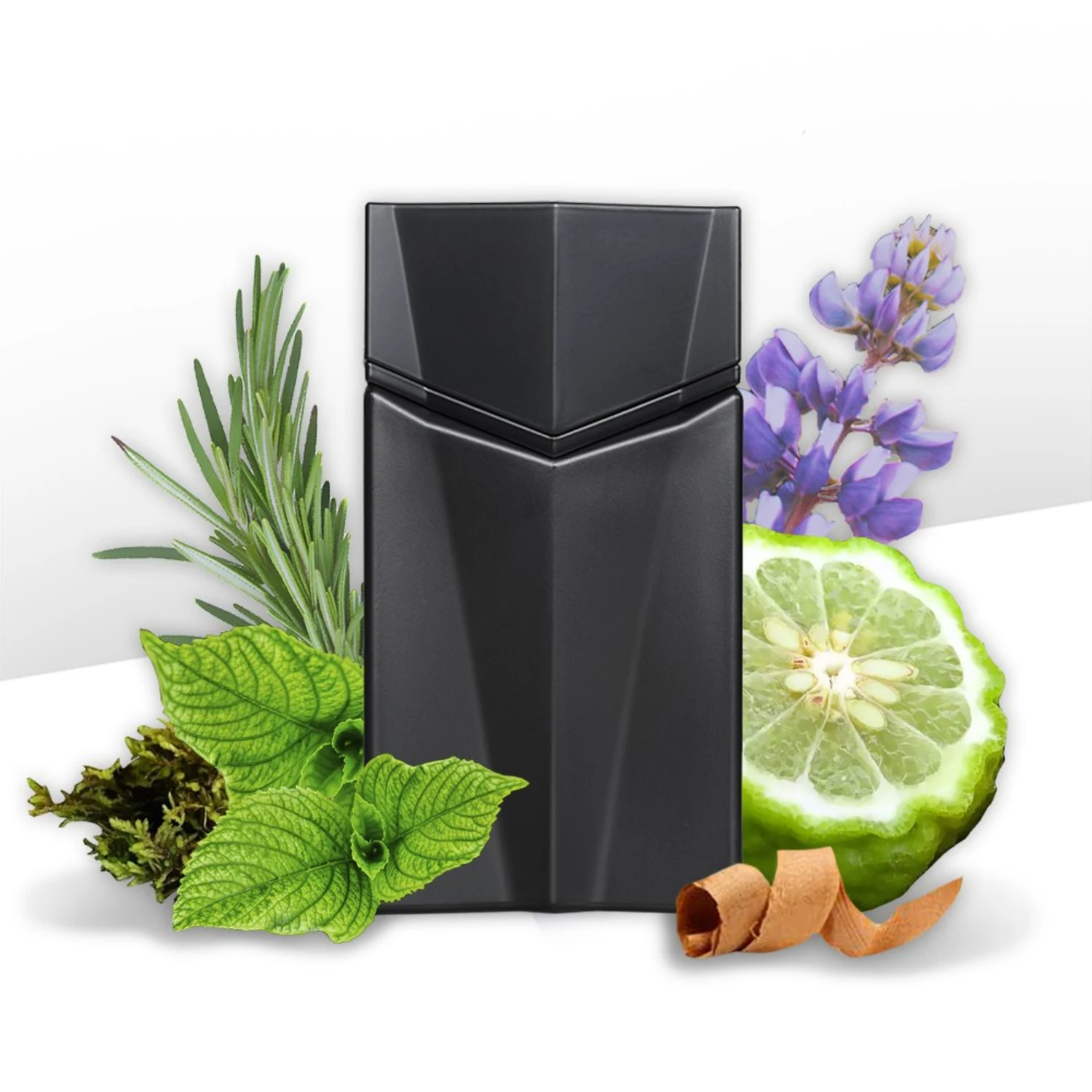 Perfume Masculino Eau de Toilette Animale Seduction Homme 100ml