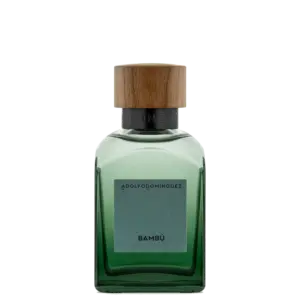 Perfume Masculino Eau de Parfum Adolfo Dominguez Bambú 120ml Perfume Masculino Eau de Parfum Adolfo Dominguez Bambú 120ml