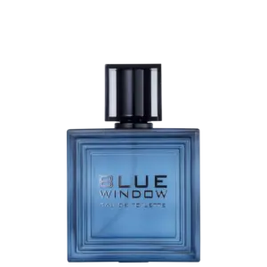 Perfume Masculino Eau de Toilette Coscentra Blue Window Linn Young 100ml