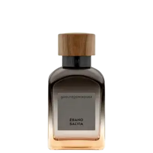 Perfume Masculino Eau de Parfum Adolfo Dominguez Ébano Salvia 120ml Perfume Masculino Eau de Parfum Adolfo Dominguez Ébano Salvia 120ml
