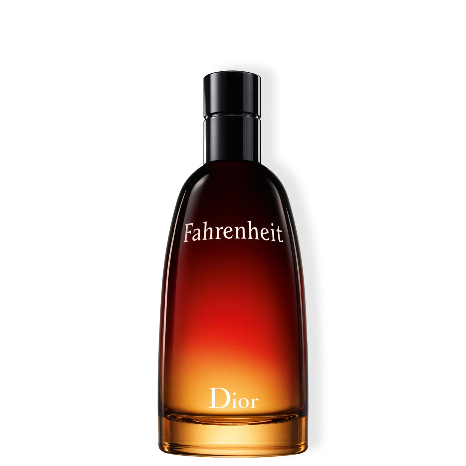 Perfume Masculino Eau de Toilette Dior Fahrenheit 100ml