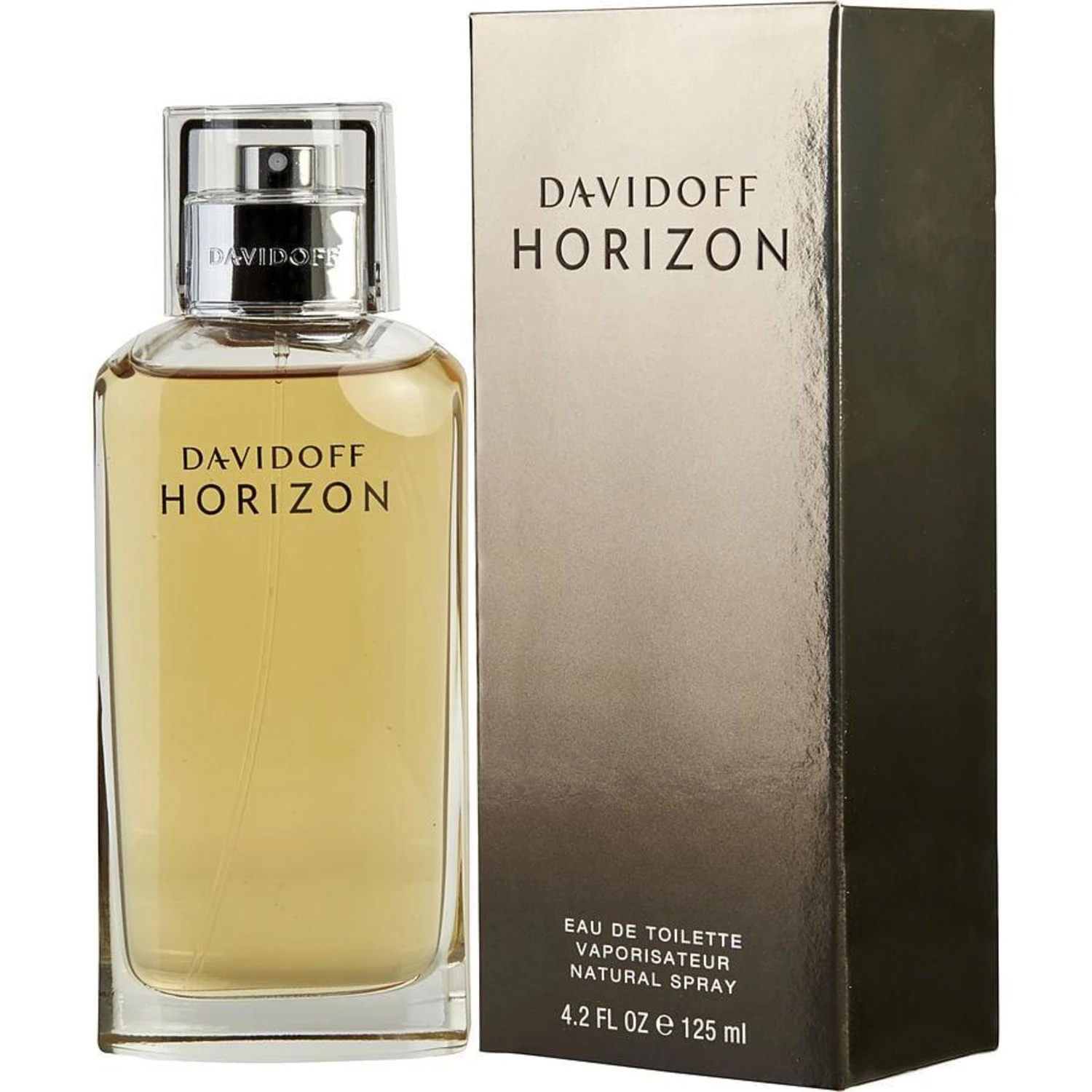Perfume Masculino Eau de Toilette Davidoff Horizon 125ml