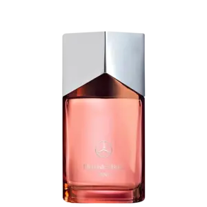 Perfume Masculino Eau de Parfum Mercedes-Benz Land 100ml