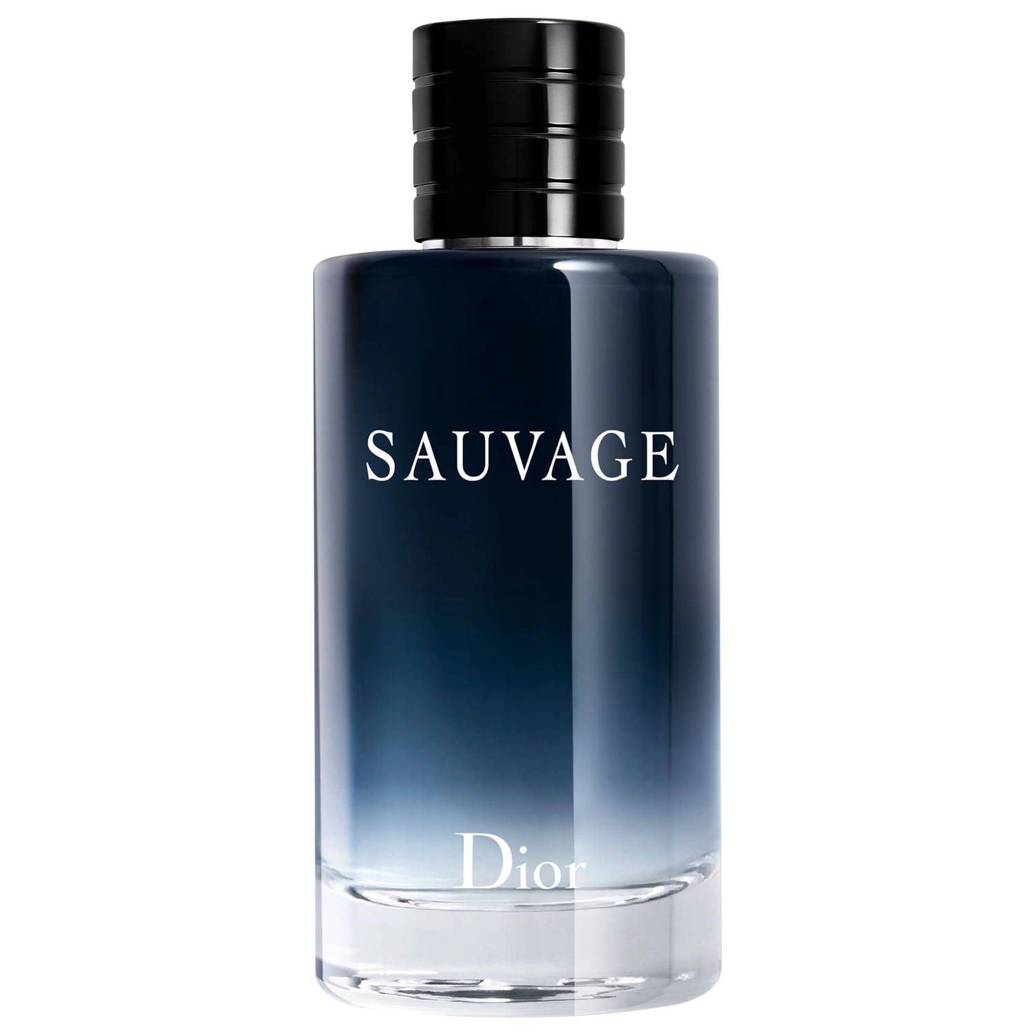 Perfume Masculino Eau de Toilette Dior Sauvage 200ml