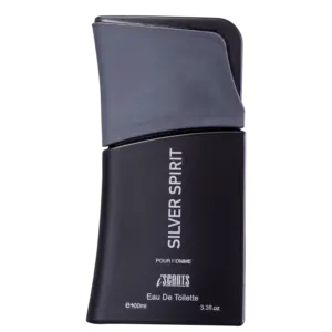 Perfume Masculino Eau de Toilette I-Scents Silver Spirit 100ml