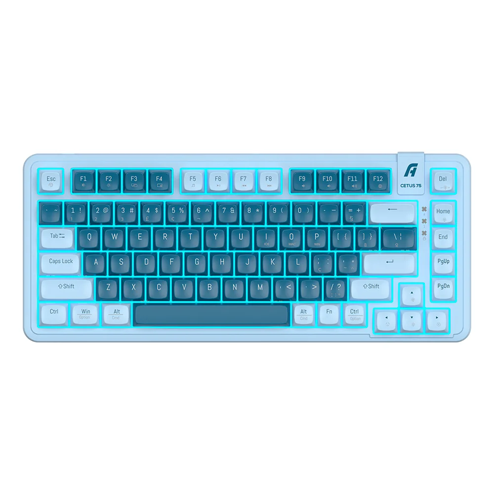 Teclado Gamer Mecânico Aplus Cetus 75 TKL Gasket Hotswap Switch Red Jerrzi Iluminação Azul