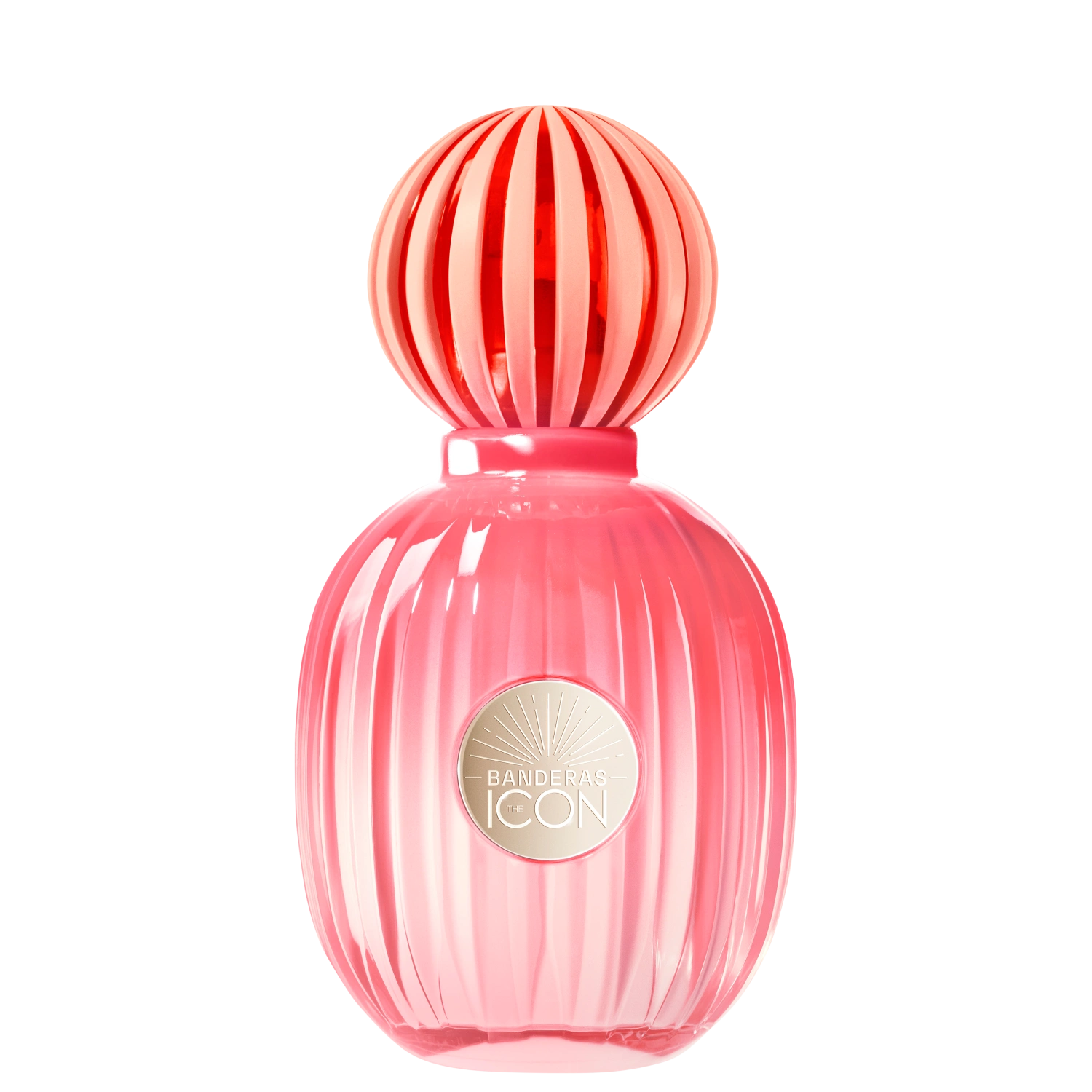 Perfume Feminino Eau de Parfum Banderas The Icon Splendid 50ml